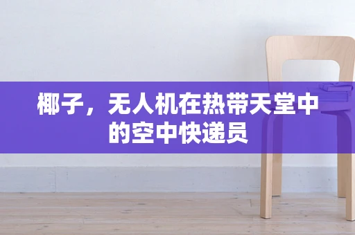 椰子，无人机在热带天堂中的空中快递员