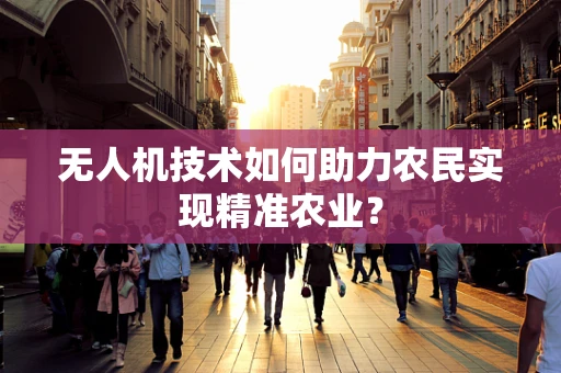 无人机技术如何助力农民实现精准农业？