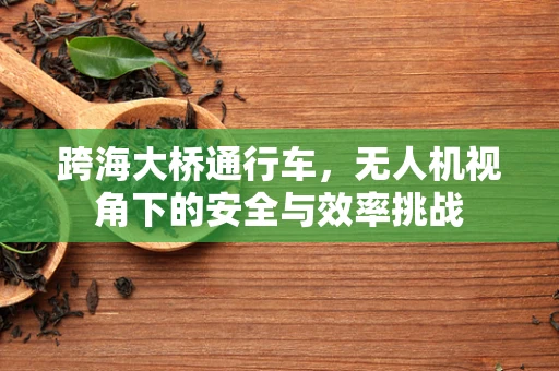 跨海大桥通行车，无人机视角下的安全与效率挑战