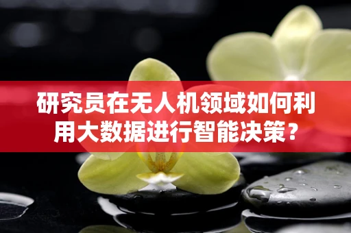 研究员在无人机领域如何利用大数据进行智能决策？