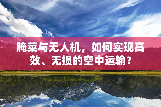 腌菜与无人机，如何实现高效、无损的空中运输？