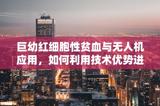 巨幼红细胞性贫血与无人机应用，如何利用技术优势进行精准医疗监测？