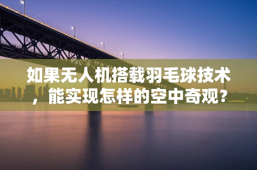 如果无人机搭载羽毛球技术，能实现怎样的空中奇观？