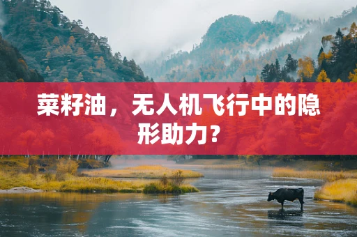 菜籽油，无人机飞行中的隐形助力？