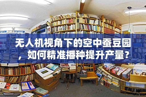 无人机视角下的空中蚕豆园，如何精准播种提升产量？