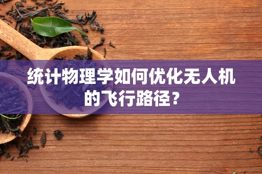 统计物理学如何优化无人机的飞行路径？