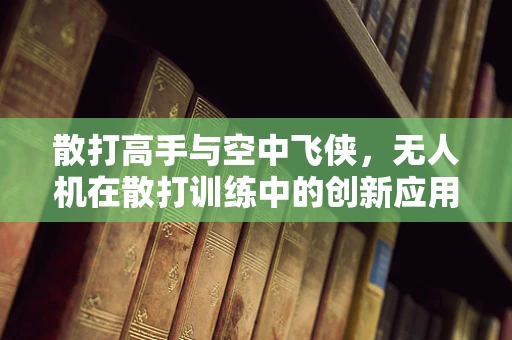 散打高手与空中飞侠，无人机在散打训练中的创新应用？