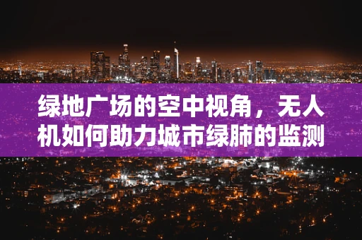 绿地广场的空中视角，无人机如何助力城市绿肺的监测与保护？