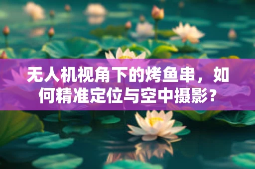 无人机视角下的烤鱼串，如何精准定位与空中摄影？