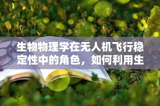 生物物理学在无人机飞行稳定性中的角色，如何利用生物机制提升飞行性能？