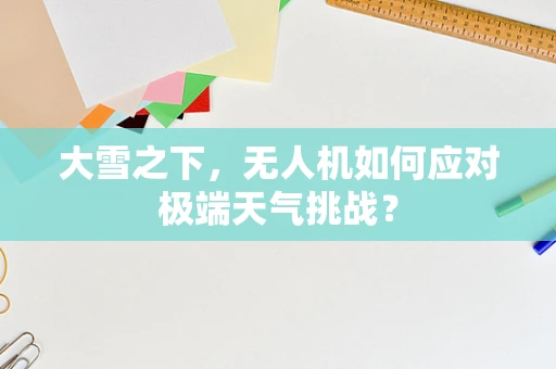 大雪之下，无人机如何应对极端天气挑战？