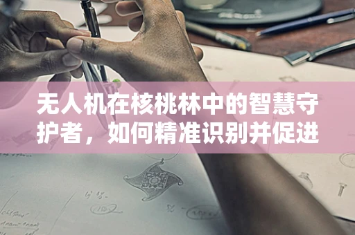 无人机在核桃林中的智慧守护者，如何精准识别并促进健康生长？