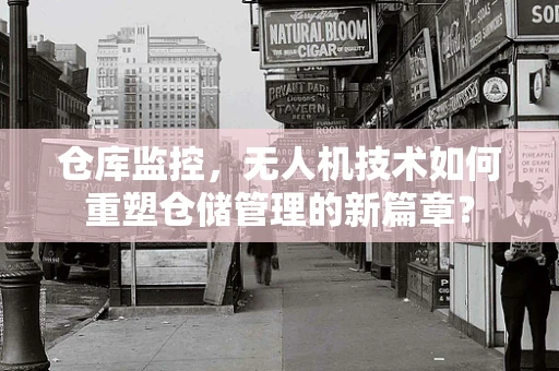 仓库监控，无人机技术如何重塑仓储管理的新篇章？