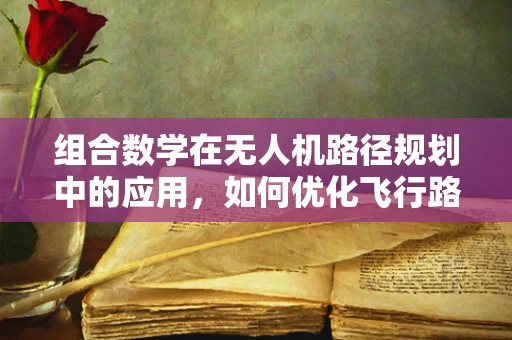 组合数学在无人机路径规划中的应用，如何优化飞行路径的组合选择？