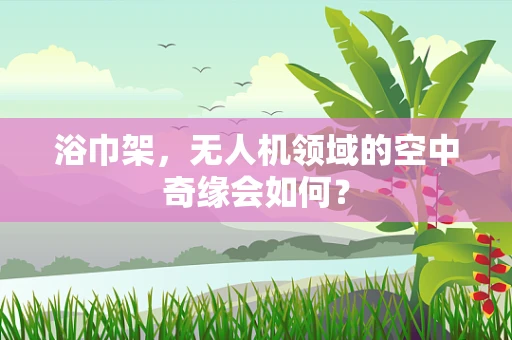 浴巾架，无人机领域的空中奇缘会如何？