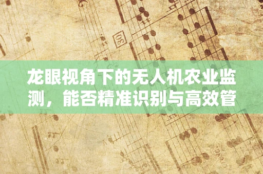 龙眼视角下的无人机农业监测，能否精准识别与高效管理？