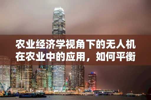 农业经济学视角下的无人机在农业中的应用，如何平衡技术进步与农民收益？