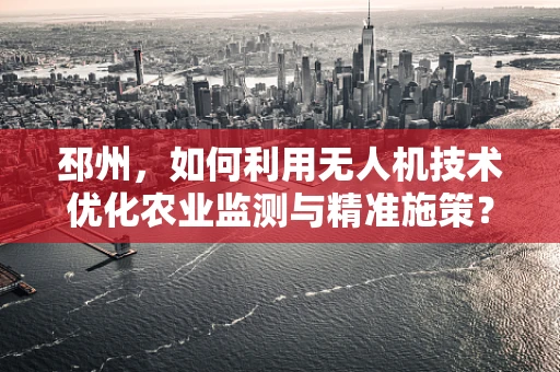 邳州，如何利用无人机技术优化农业监测与精准施策？