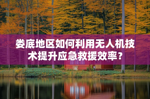 娄底地区如何利用无人机技术提升应急救援效率？