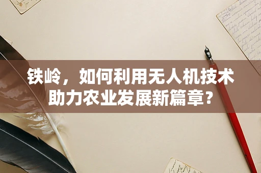 铁岭，如何利用无人机技术助力农业发展新篇章？