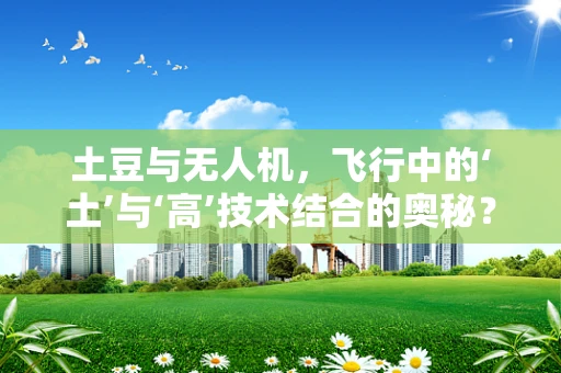 土豆与无人机，飞行中的‘土’与‘高’技术结合的奥秘？