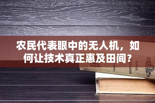 农民代表眼中的无人机，如何让技术真正惠及田间？
