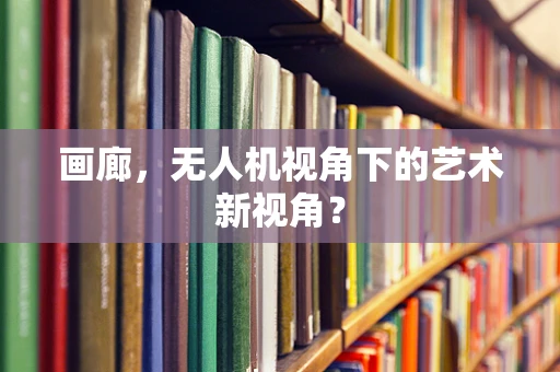 画廊，无人机视角下的艺术新视角？