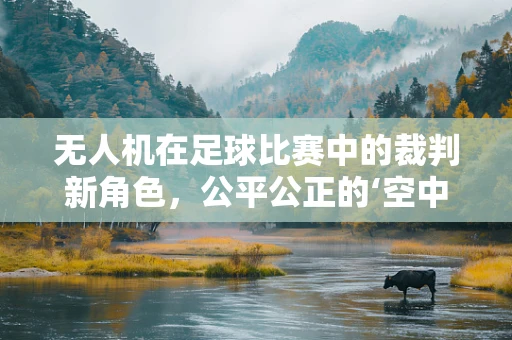 无人机在足球比赛中的裁判新角色，公平公正的‘空中法官’？