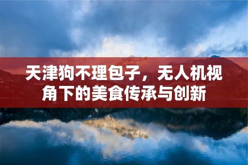 天津狗不理包子，无人机视角下的美食传承与创新
