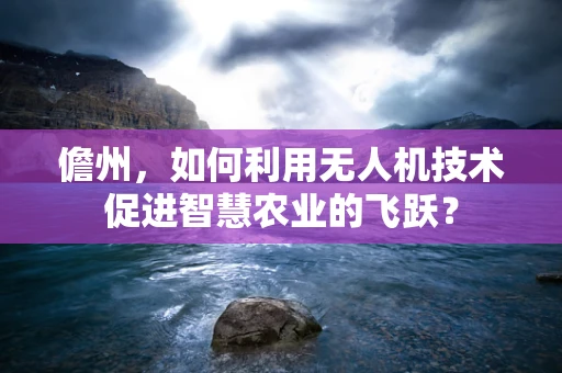 儋州，如何利用无人机技术促进智慧农业的飞跃？