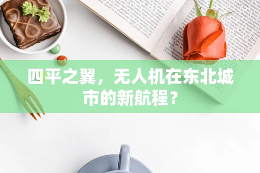 四平之翼，无人机在东北城市的新航程？