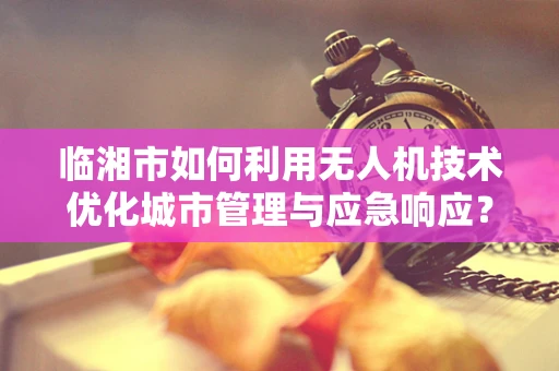 临湘市如何利用无人机技术优化城市管理与应急响应？