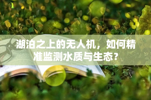 湖泊之上的无人机，如何精准监测水质与生态？