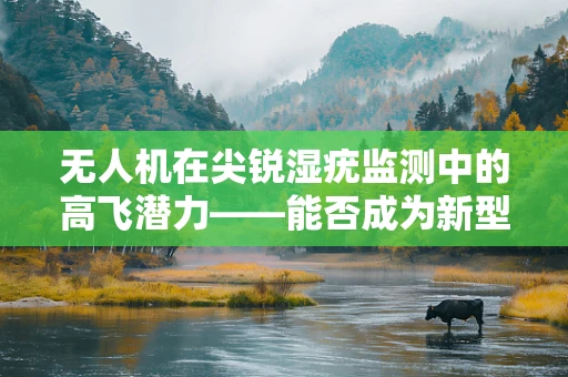无人机在尖锐湿疣监测中的高飞潜力——能否成为新型疾病防控的空中之眼？