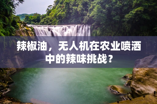 辣椒油，无人机在农业喷洒中的辣味挑战？