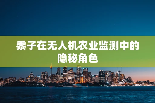 黍子在无人机农业监测中的隐秘角色