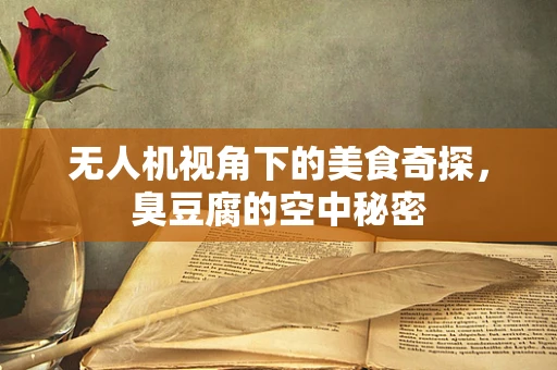 无人机视角下的美食奇探，臭豆腐的空中秘密