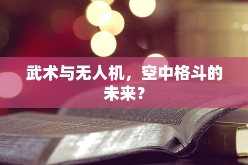 武术与无人机，空中格斗的未来？