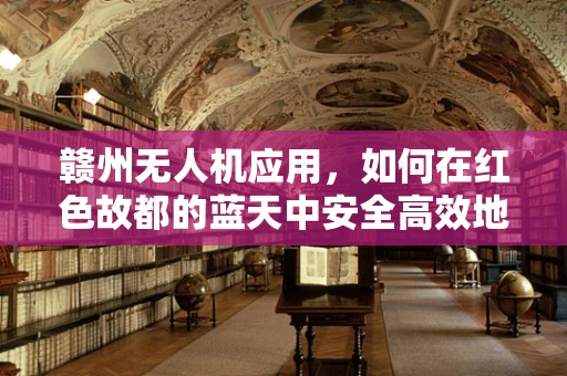 赣州无人机应用，如何在红色故都的蓝天中安全高效地飞翔？