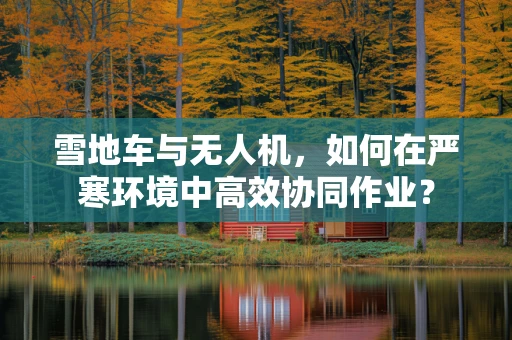 雪地车与无人机，如何在严寒环境中高效协同作业？