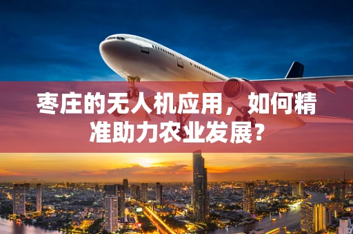 枣庄的无人机应用，如何精准助力农业发展？