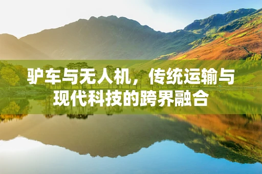 驴车与无人机，传统运输与现代科技的跨界融合