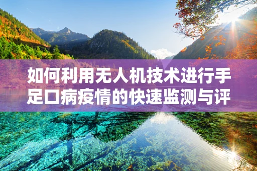 如何利用无人机技术进行手足口病疫情的快速监测与评估？
