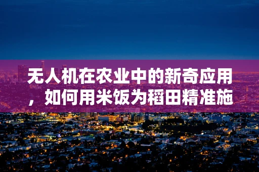 无人机在农业中的新奇应用，如何用米饭为稻田精准施肥？