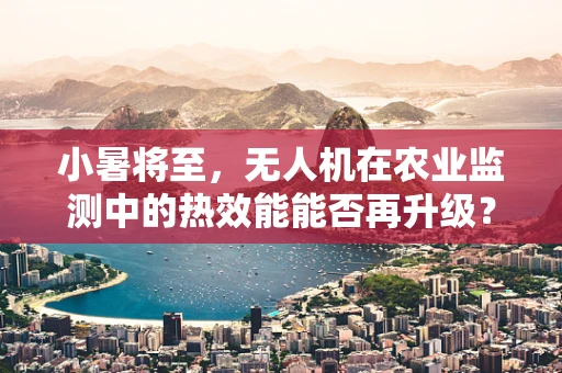 小暑将至，无人机在农业监测中的热效能能否再升级？