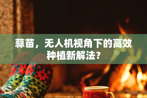 蒜苗，无人机视角下的高效种植新解法？