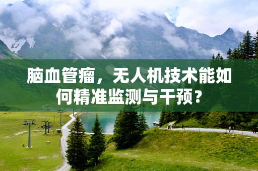 脑血管瘤，无人机技术能如何精准监测与干预？