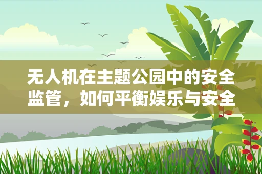无人机在主题公园中的安全监管，如何平衡娱乐与安全？