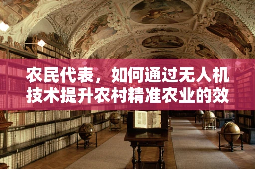 农民代表，如何通过无人机技术提升农村精准农业的效率？