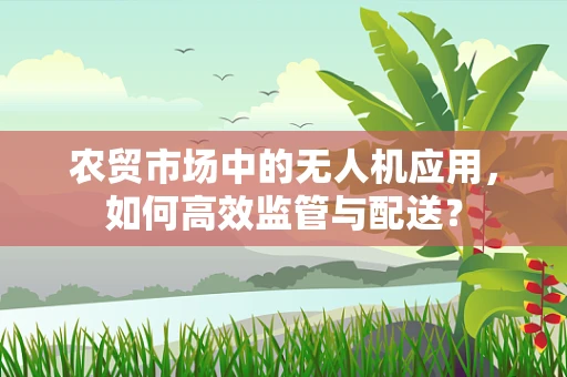 农贸市场中的无人机应用，如何高效监管与配送？